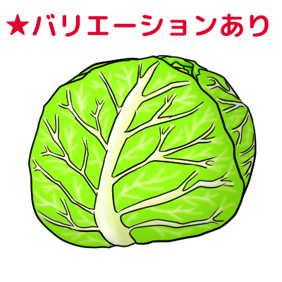 キャベツ のイラスト